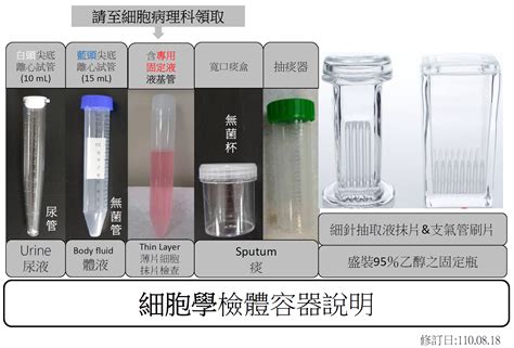 屬 檢體|活體組織檢查